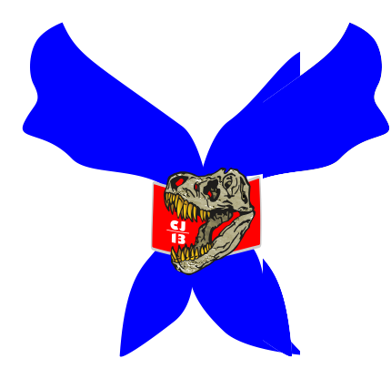 Neckerchief tied with a necker slide